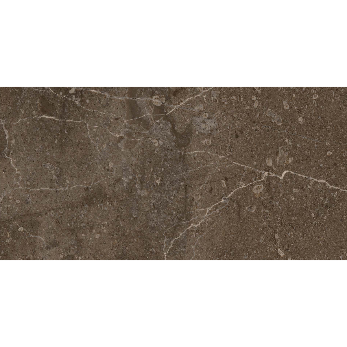 Marble Brown HiLite Textured Tile