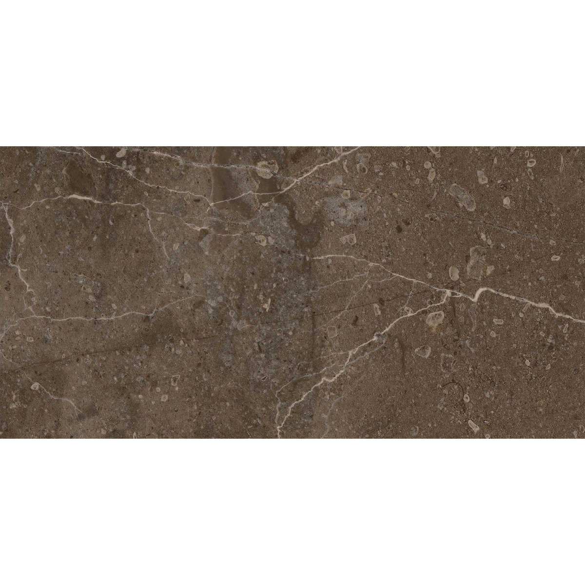 Marble Brown HiLite Textured Tile