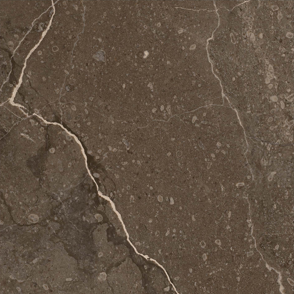 Marble Brown Polished Tile