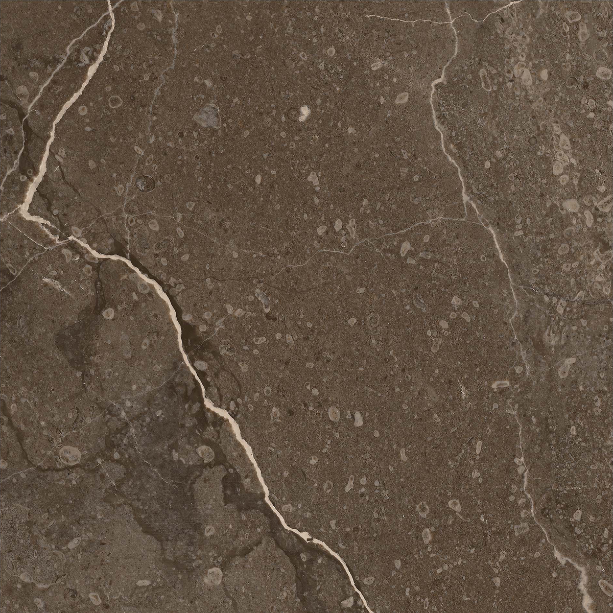 Marble Brown Polished Tile