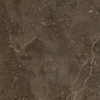 Marble Brown Polished Tile