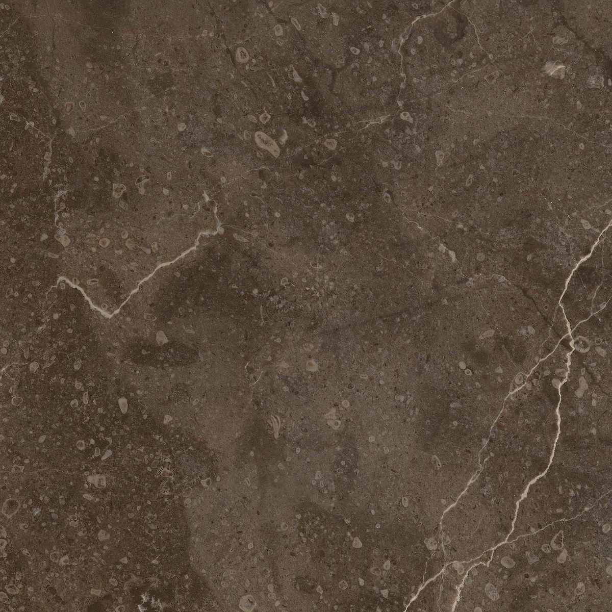 Marble Brown Polished Tile