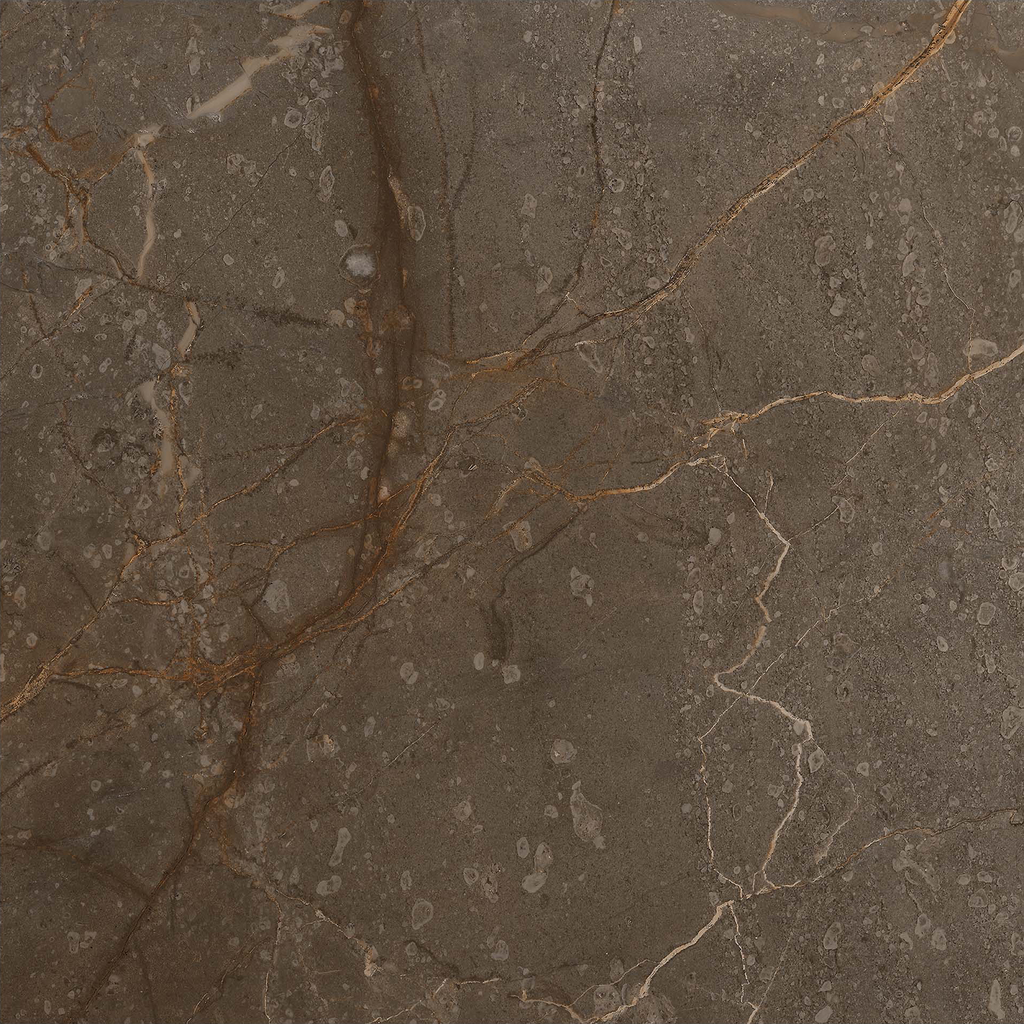 Marble Brown Polished Tile