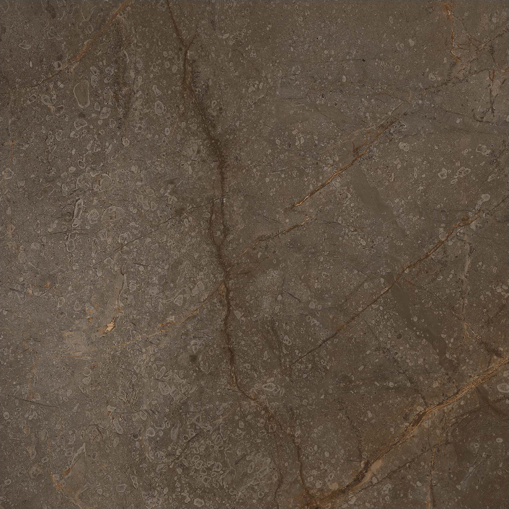 Marble Brown Polished Tile