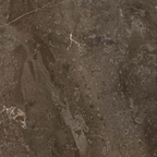 Marble Brown Polished Tile