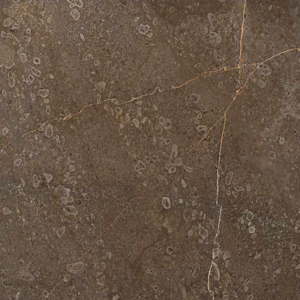 Marble Brown Polished Tile