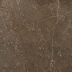 Marble Brown Polished Tile