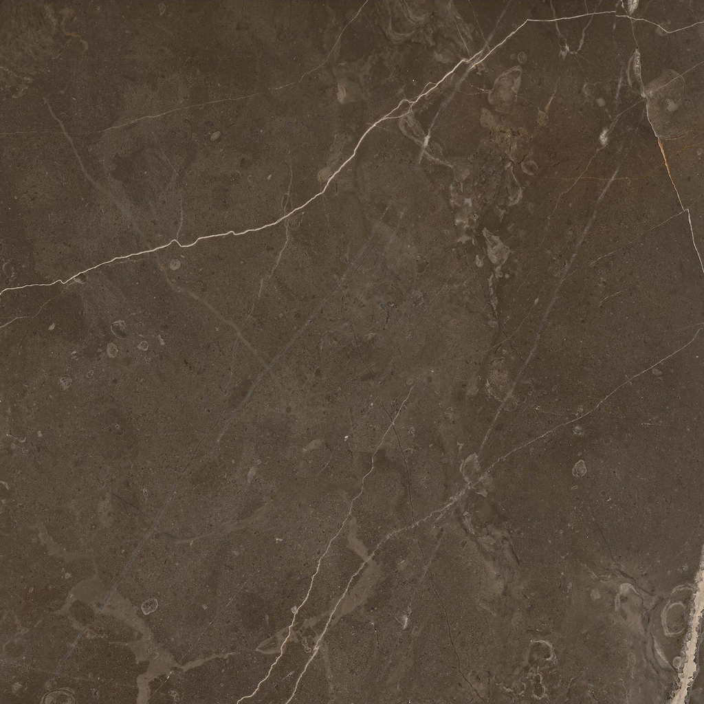 Marble Brown Polished Tile