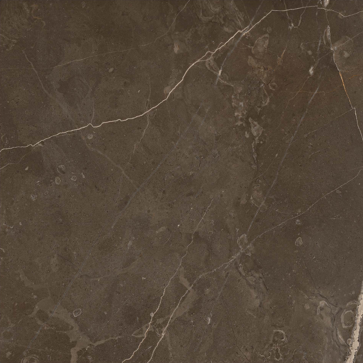 Marble Brown Polished Tile