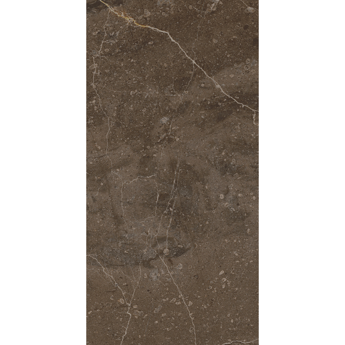 Terrane Marble Brown Structured Silk Tile