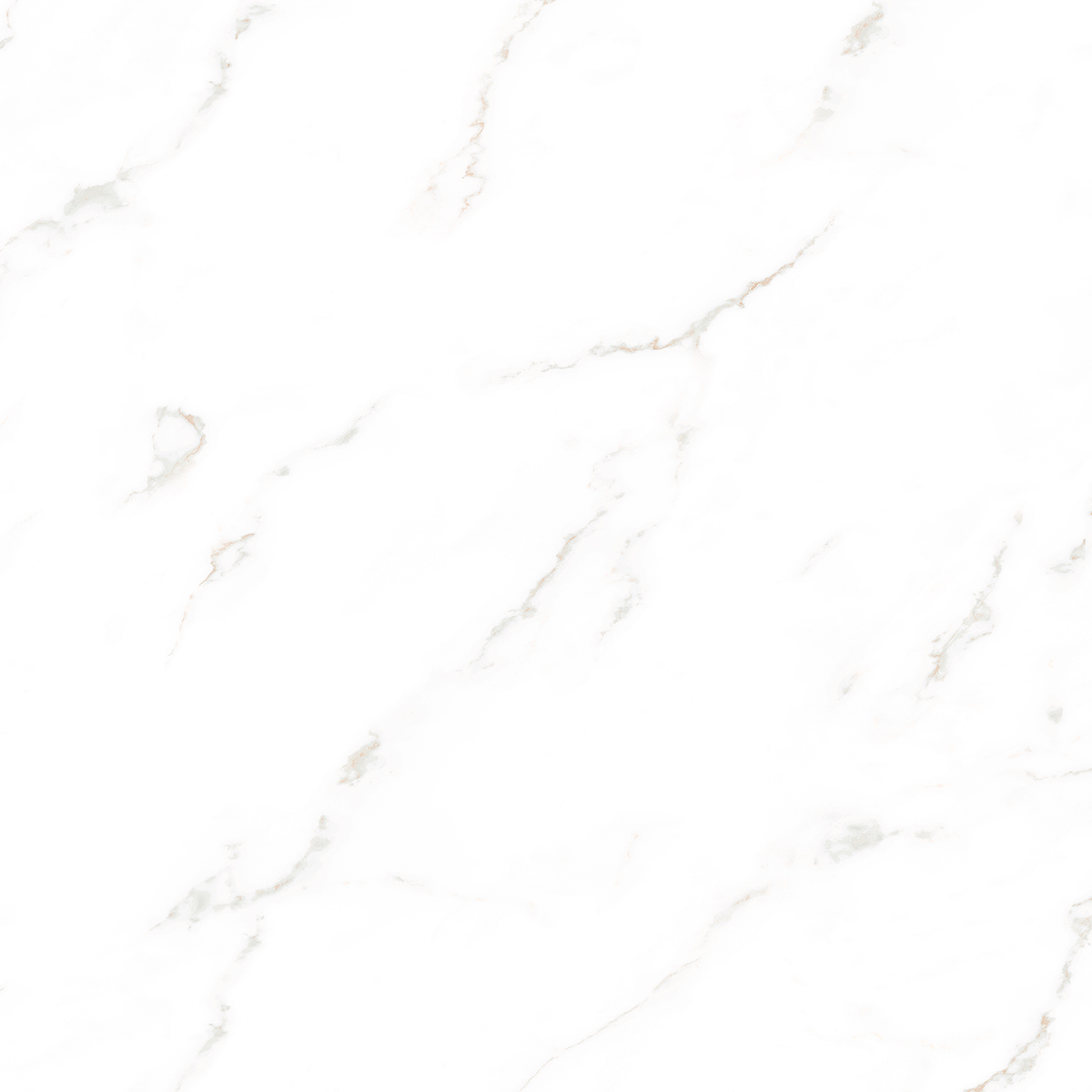 Bora Carrara White Textured Tile