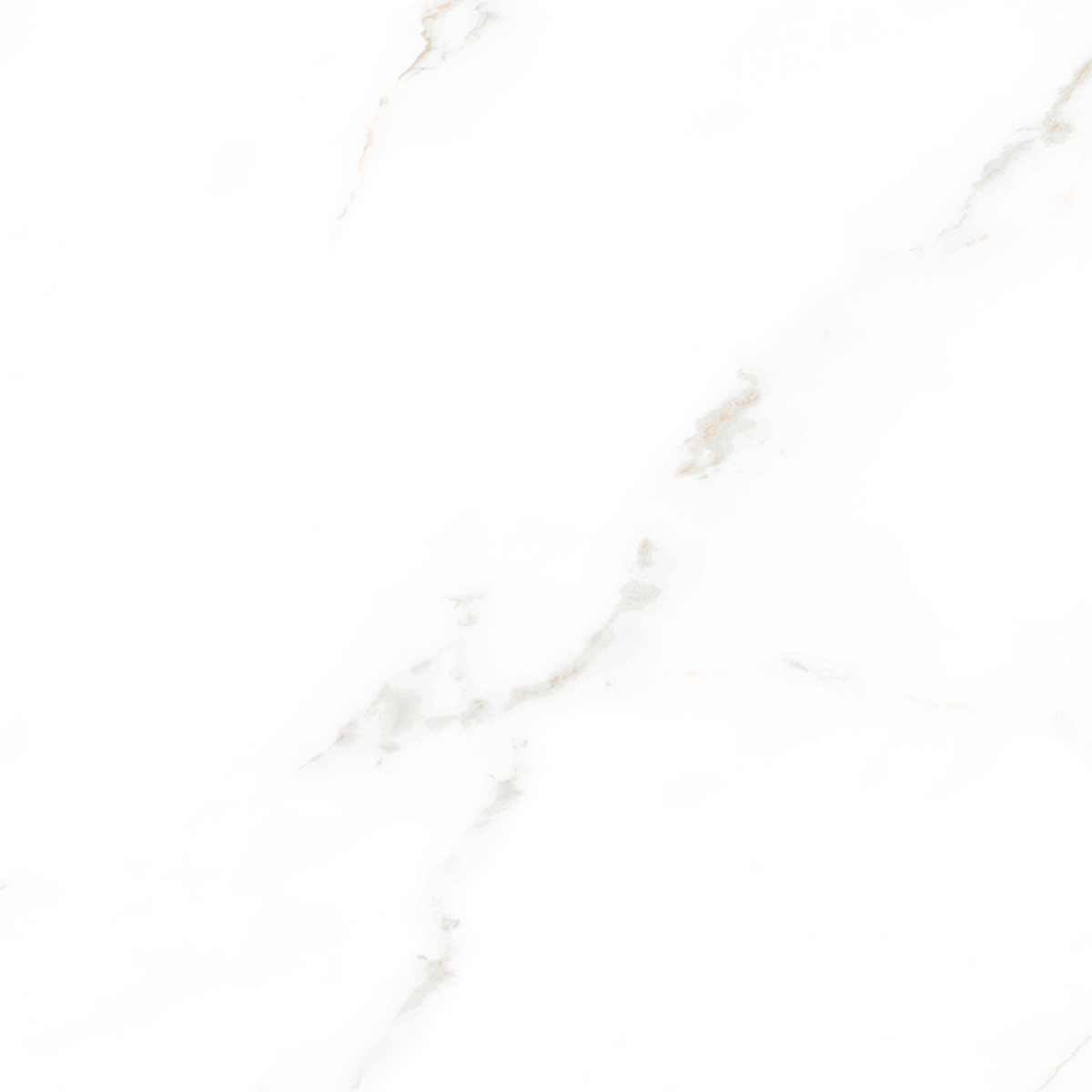 Carrara White Textured Tile Sample