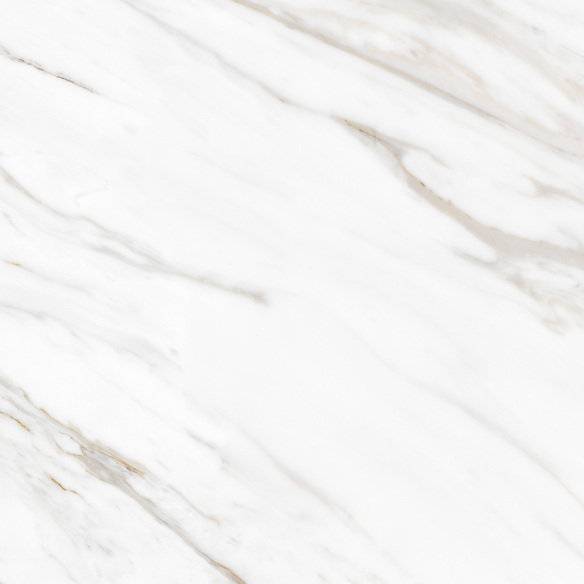 Carrara Gold Textured Tile