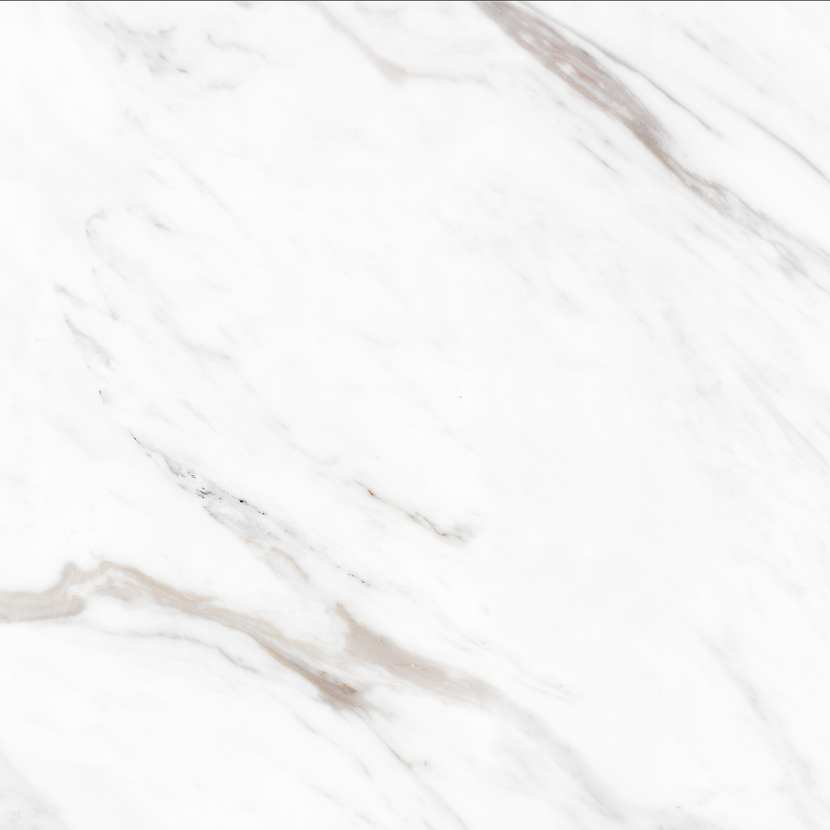 Carrara Gold Textured Tile
