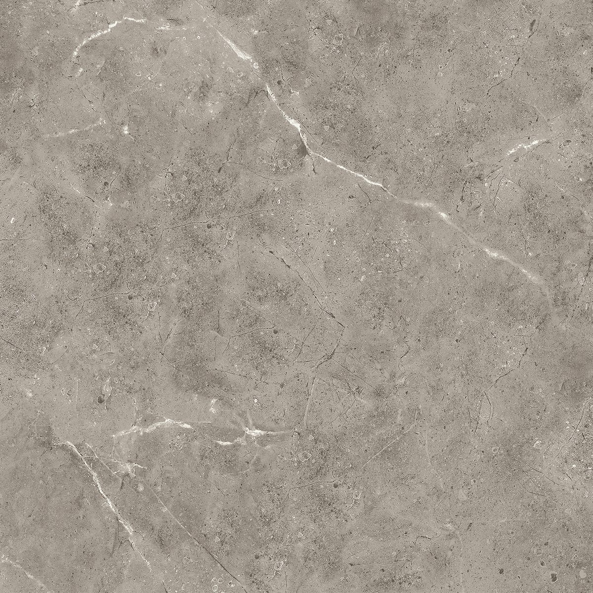 Boraie Marble Greige Polished Tile