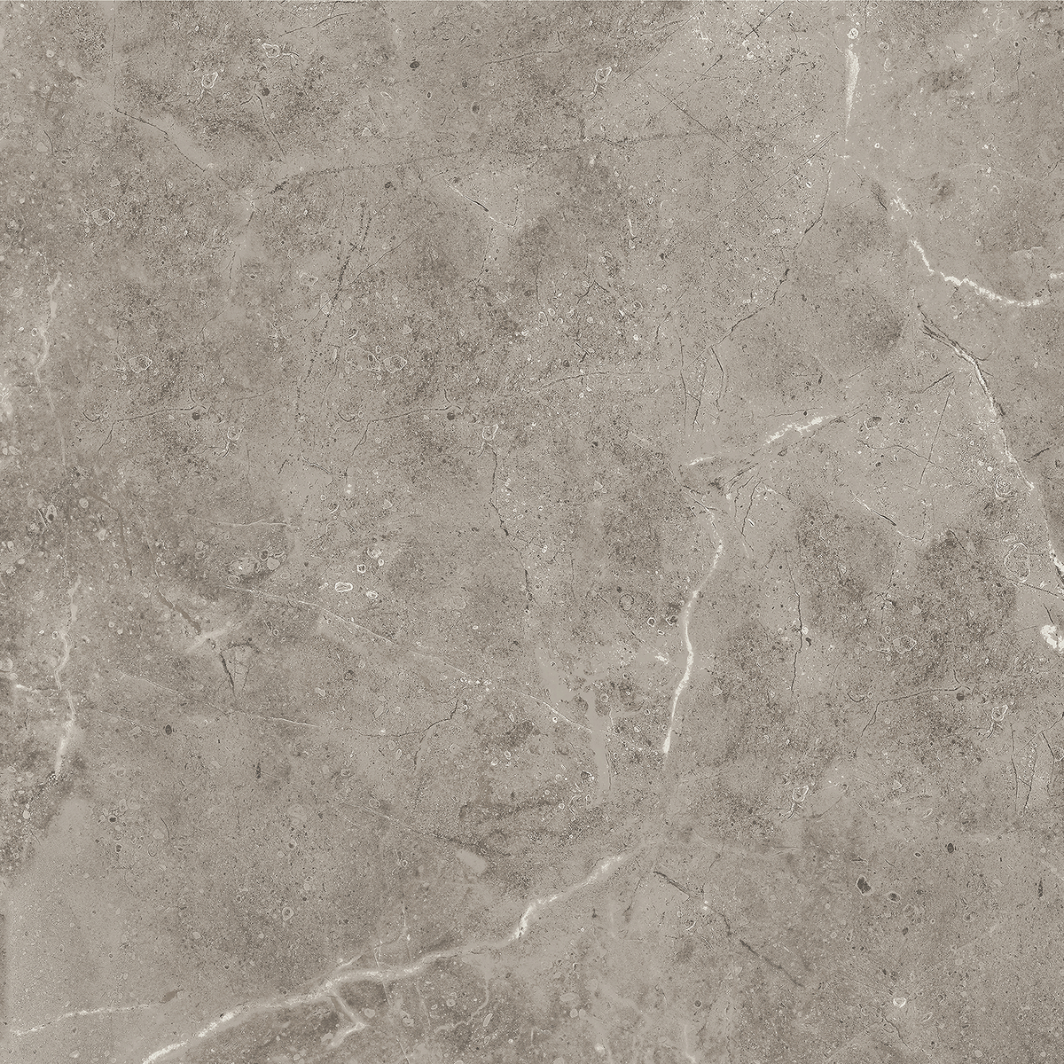 Marble Greige Polished Tile
