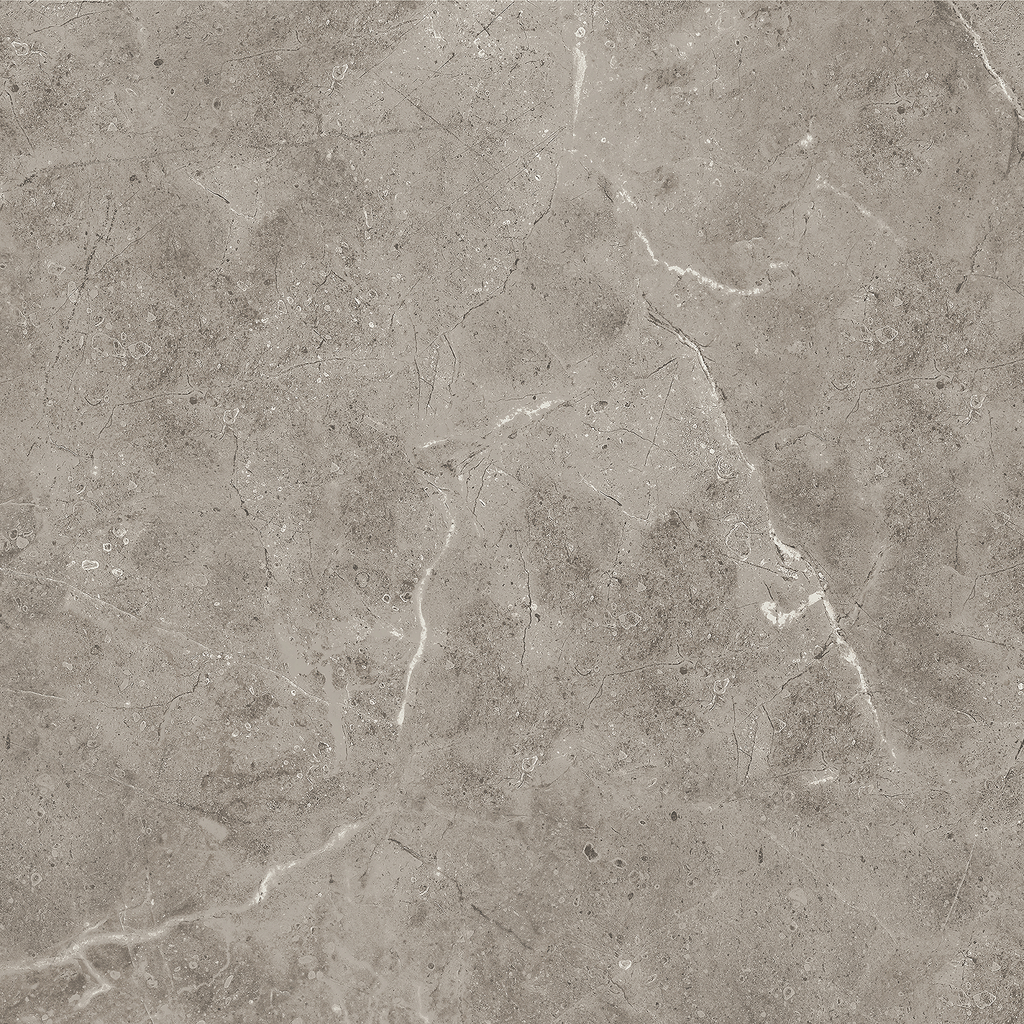 Marble Greige Polished Tile