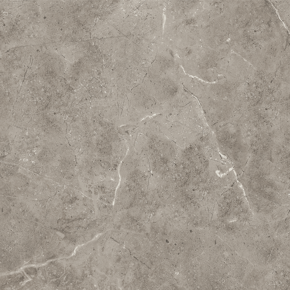 Marble Greige Polished Tile
