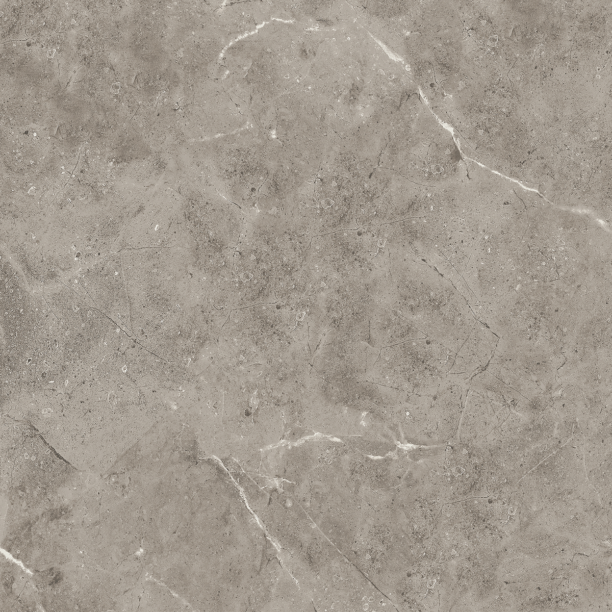 Marble Greige Polished Tile