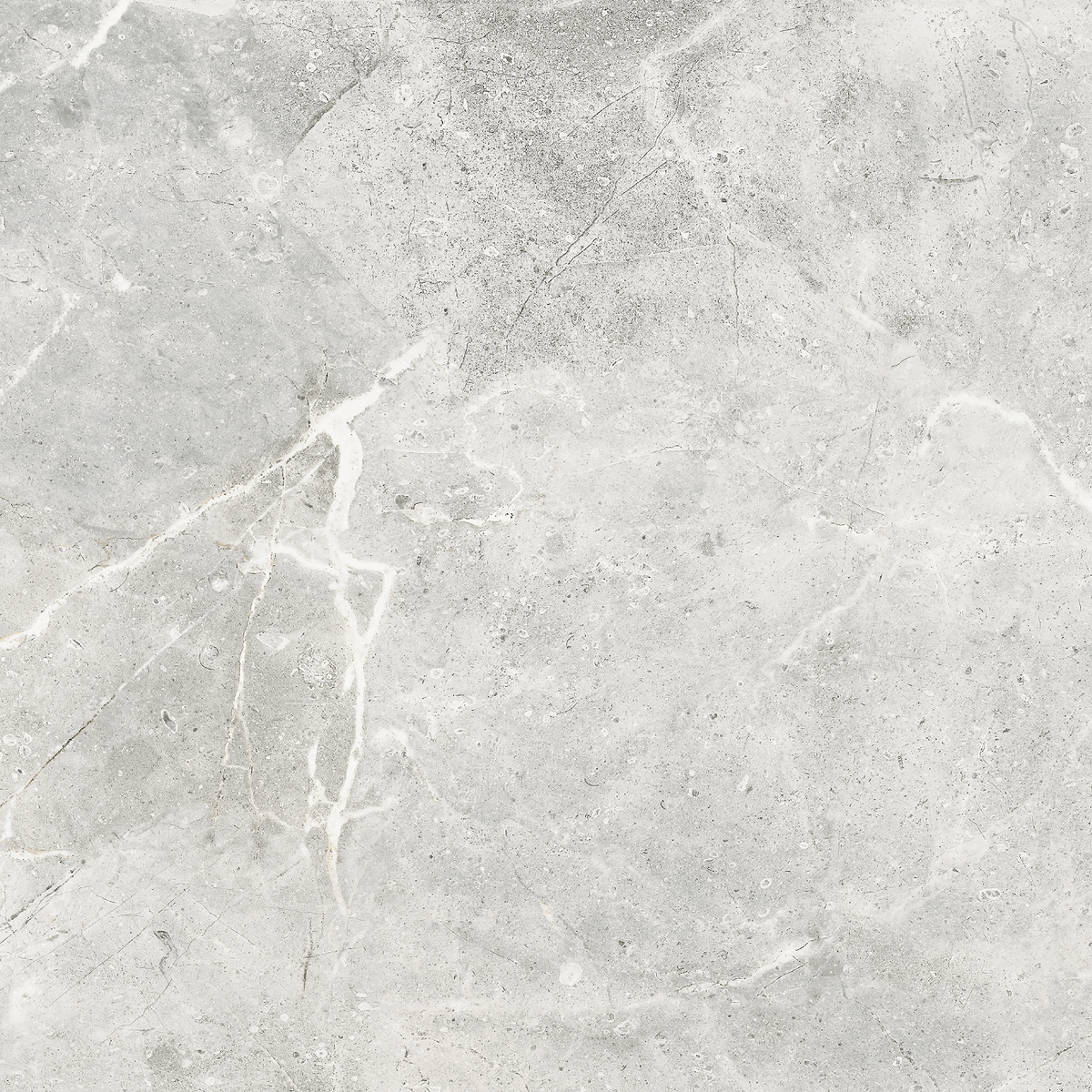 Boraie Marble Grey Polished Tile