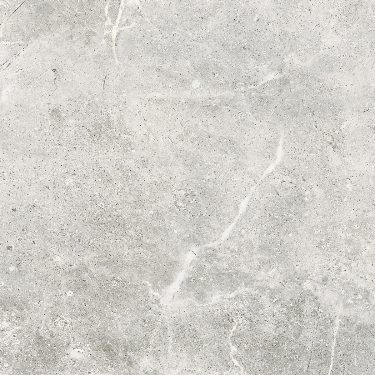 Marble Grey Polished Tile