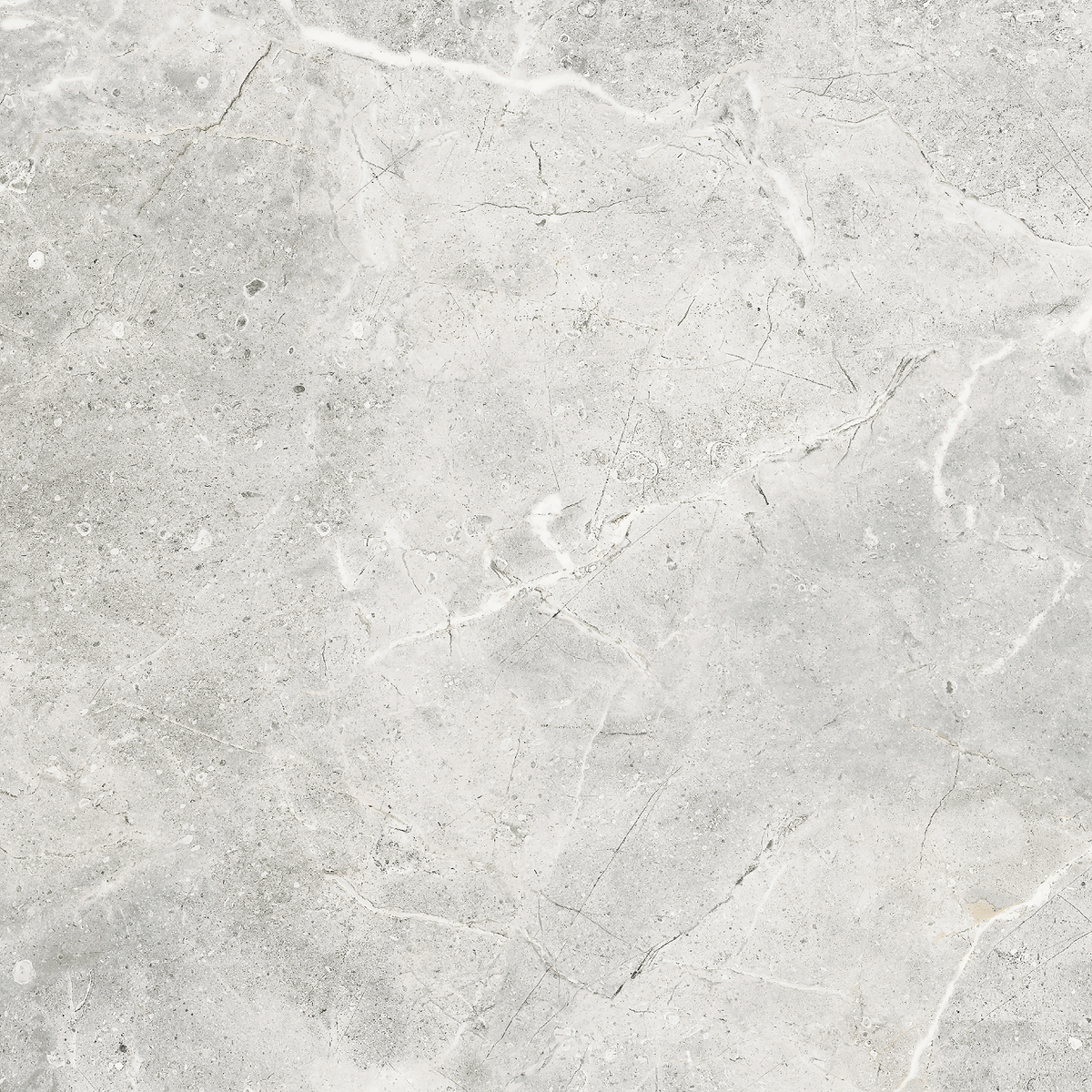 Marble Grey Polished Tile