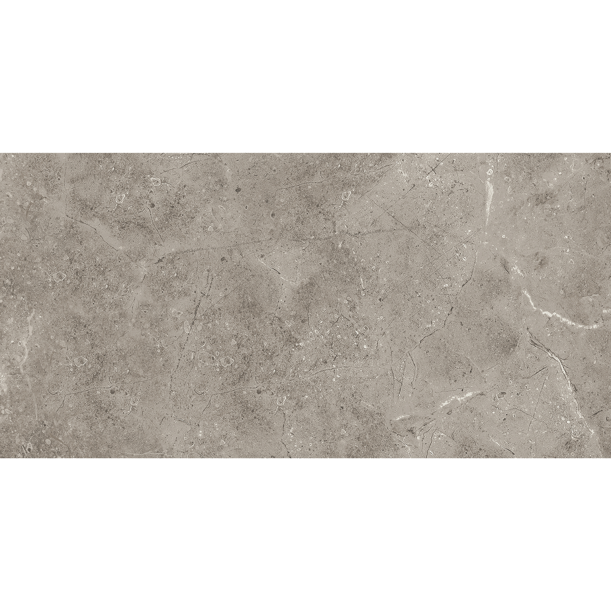 Marble Greige Polished Tile