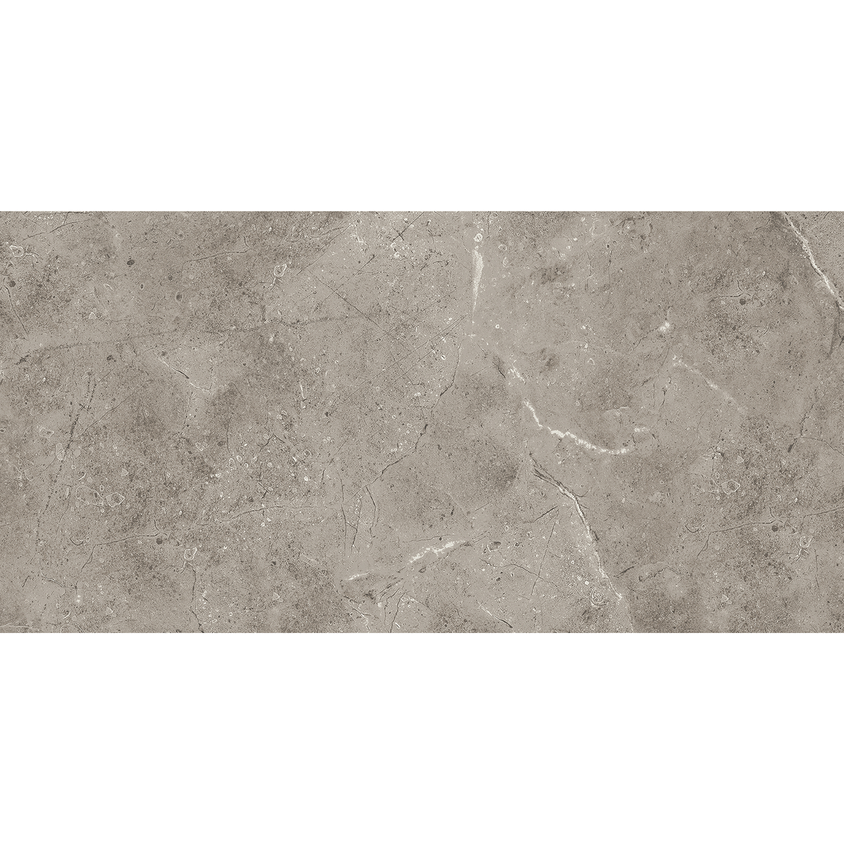 Marble Greige Polished Tile