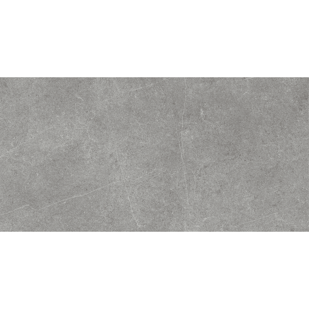 Stone Latte Grey Gloss Tile