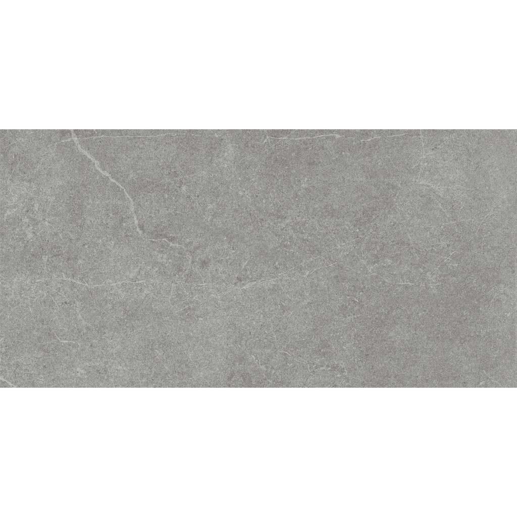 Stone Latte Grey Gloss Tile