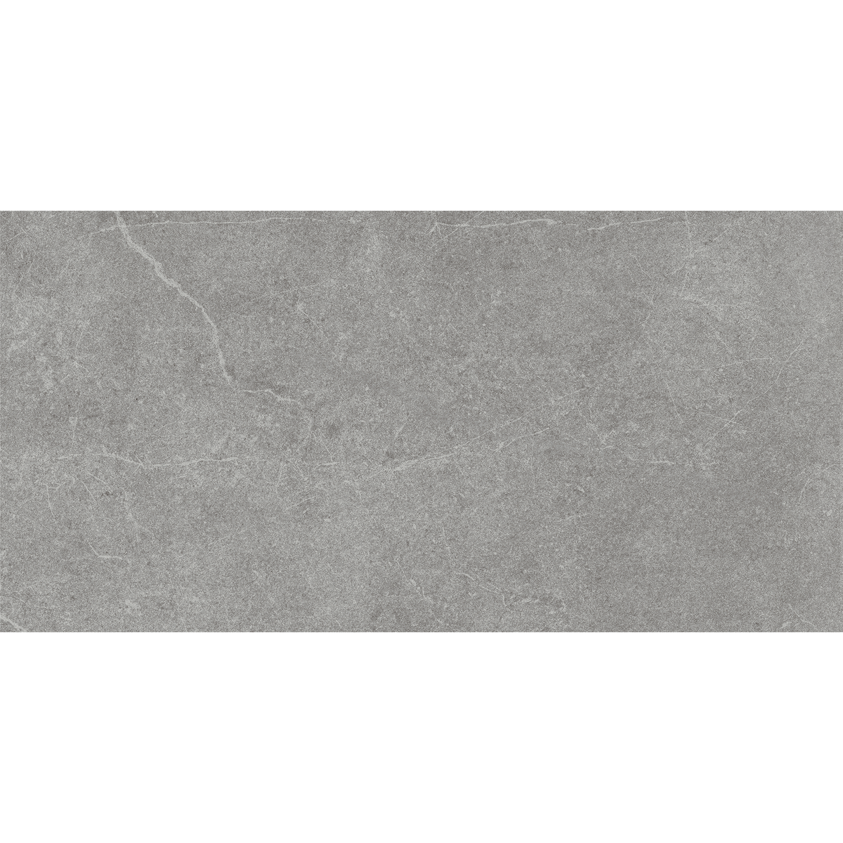 Stone Latte Grey Gloss Tile