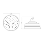 Shower Rose Chrome