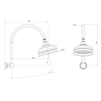High-Rise Shower Arm & Rose Chrome