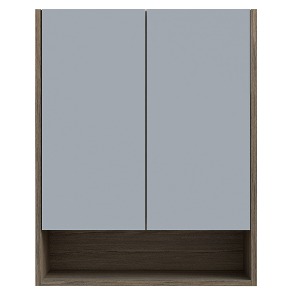 Shaving Cabinet 600 Double Door Platinum Collection