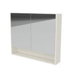 Shaving Cabinet 900 Double Door Platinum Collection