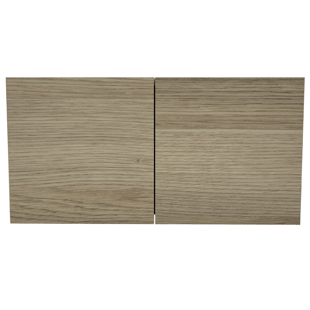 Cabinet 600 x 300 High Overhead Unit 2 Door