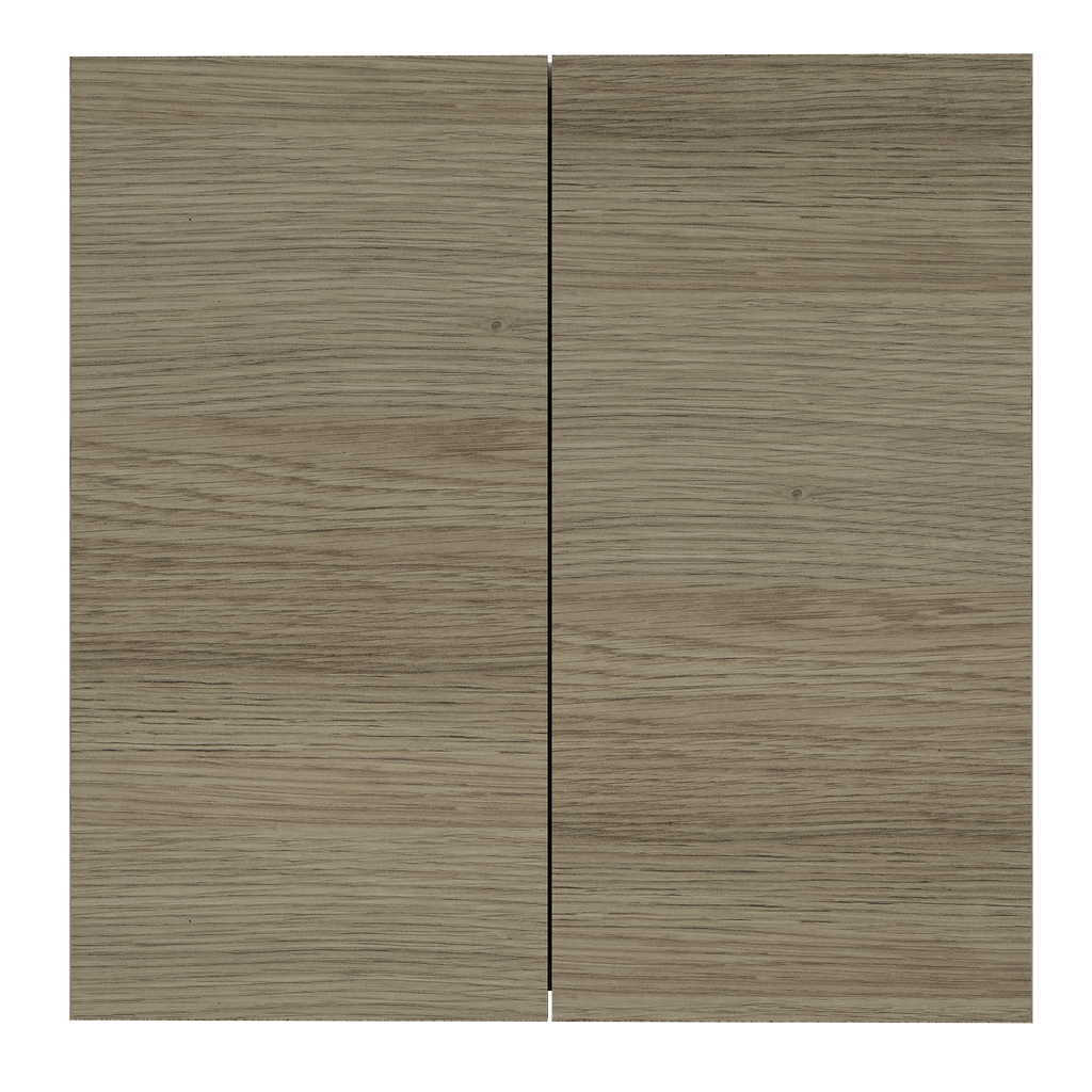 Cabinet 600 Overhead Unit 2 Doors