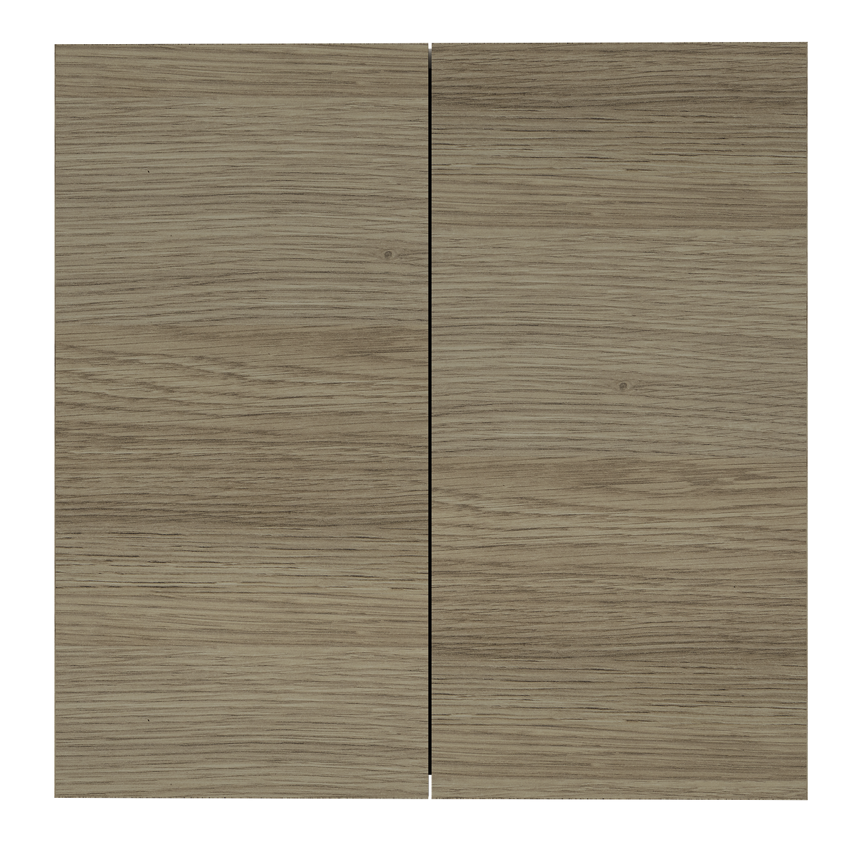 Cabinet 600 Overhead Unit 2 Doors