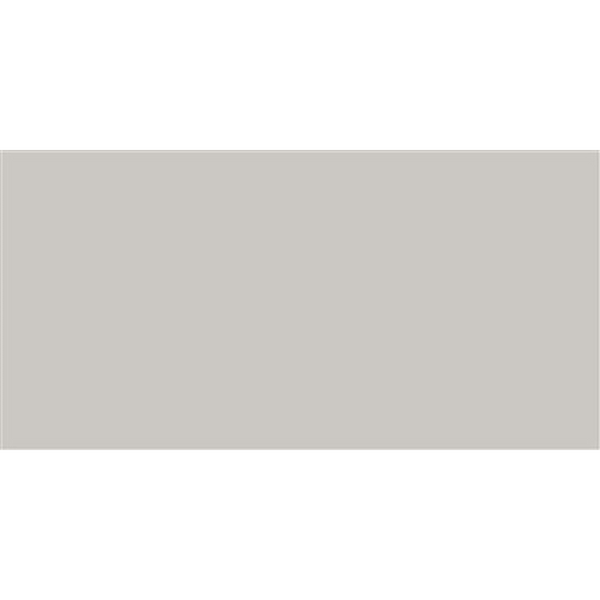 Ral Greige Matt Tile