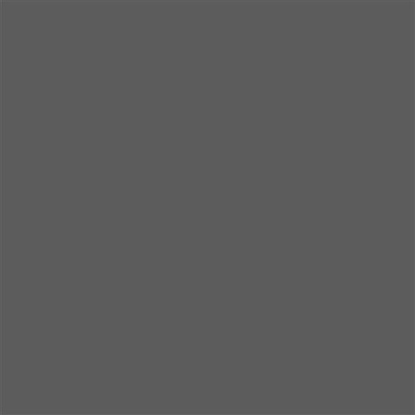 Ral Dark Grey Gloss Tile