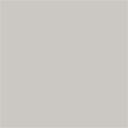 Ral Greige Matt Tile