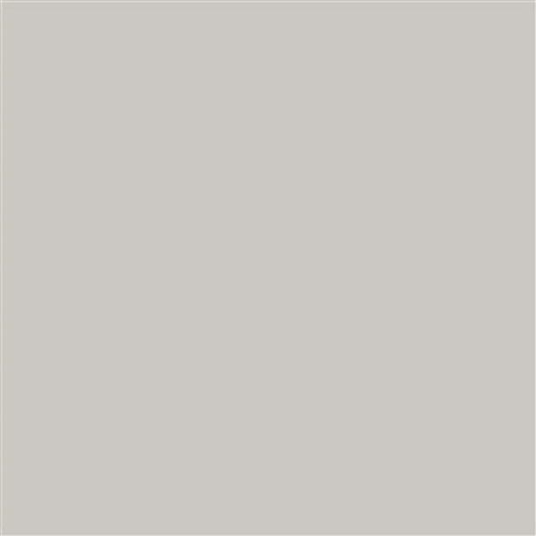 Ral Greige Matt Tile