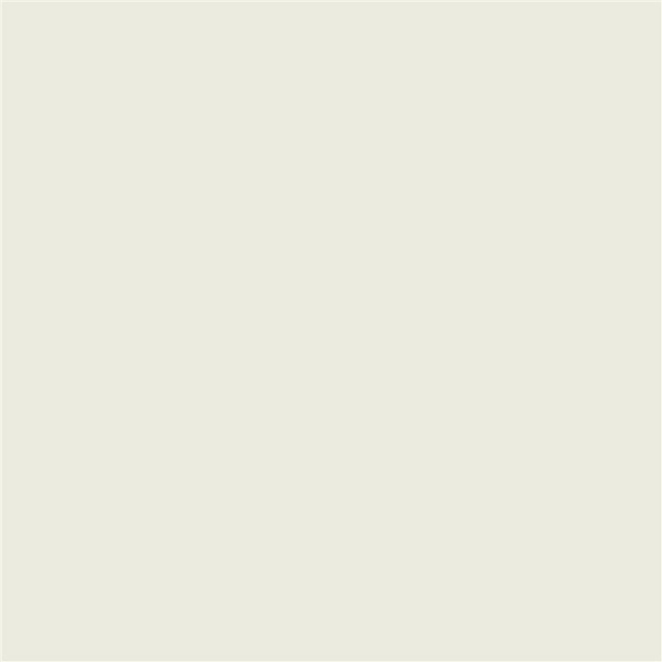 Ral Ultra White Antique Matt Tile