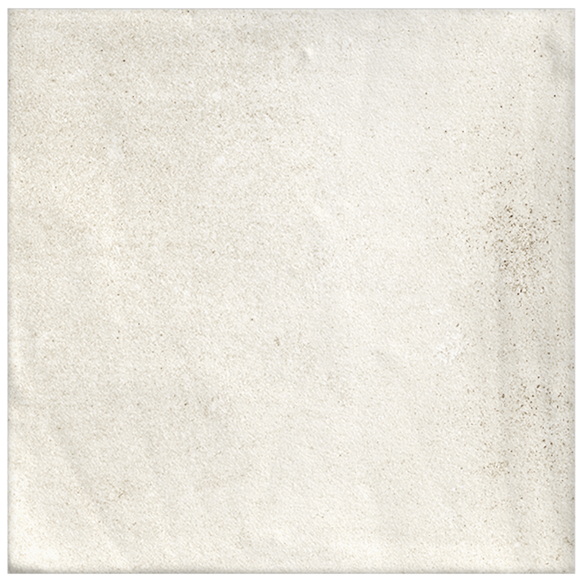 Shell Structured Textured Tile