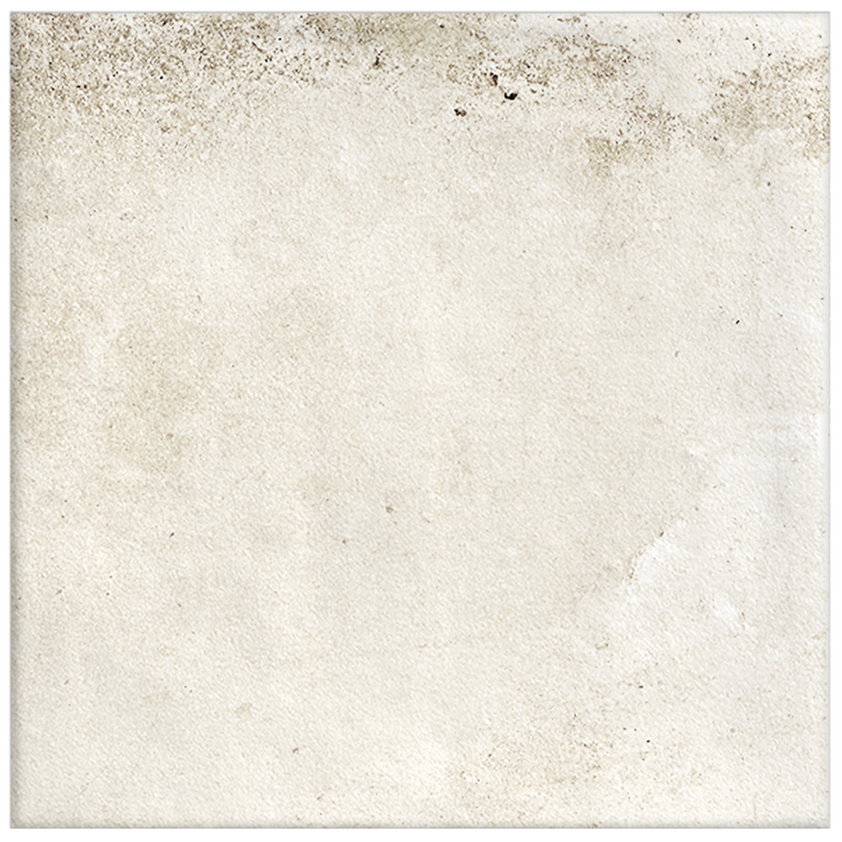Shell Structured Textured Tile