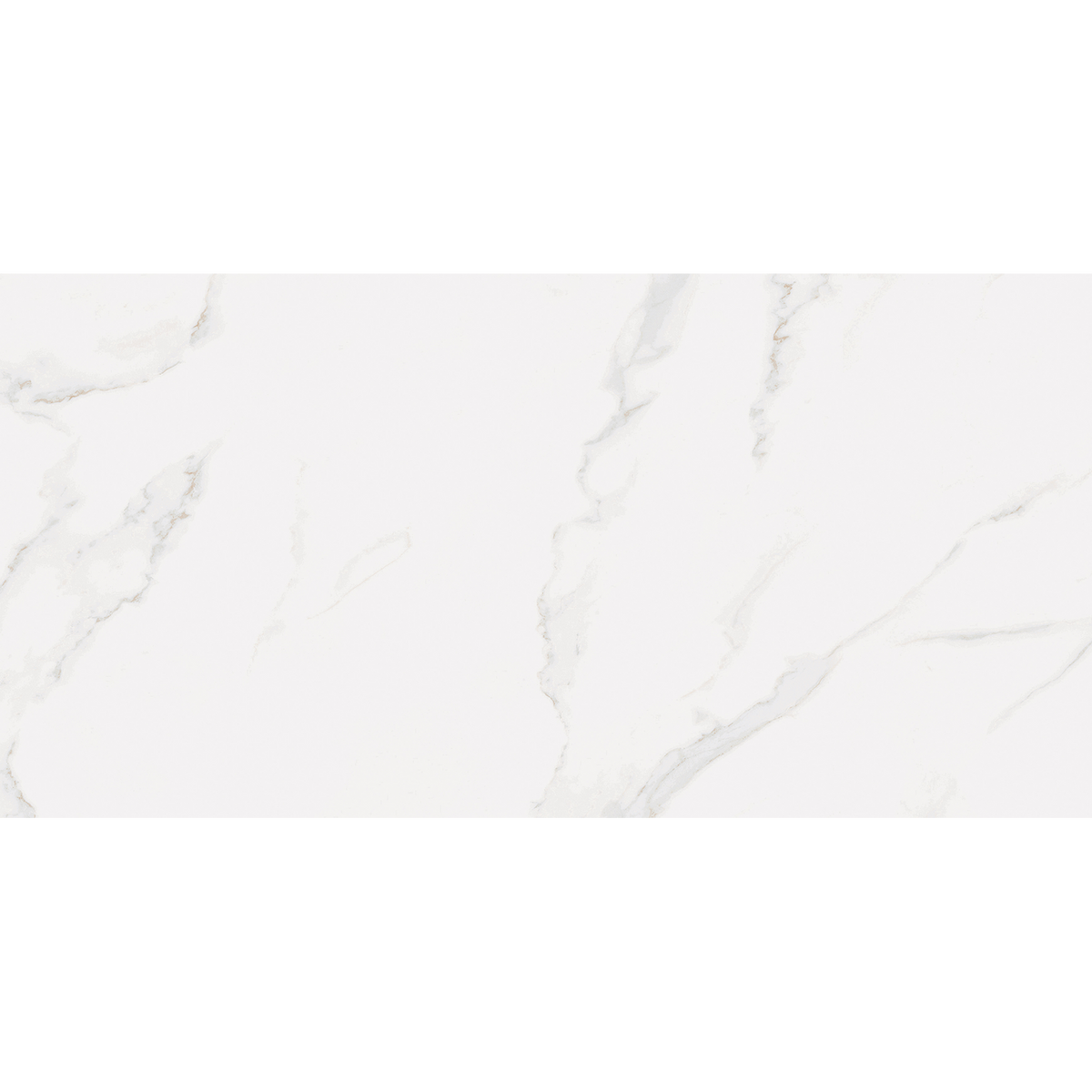 Carrara White Gloss Tile Sample