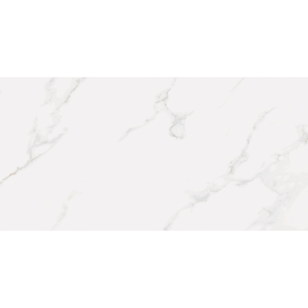 Carrara White Gloss Tile