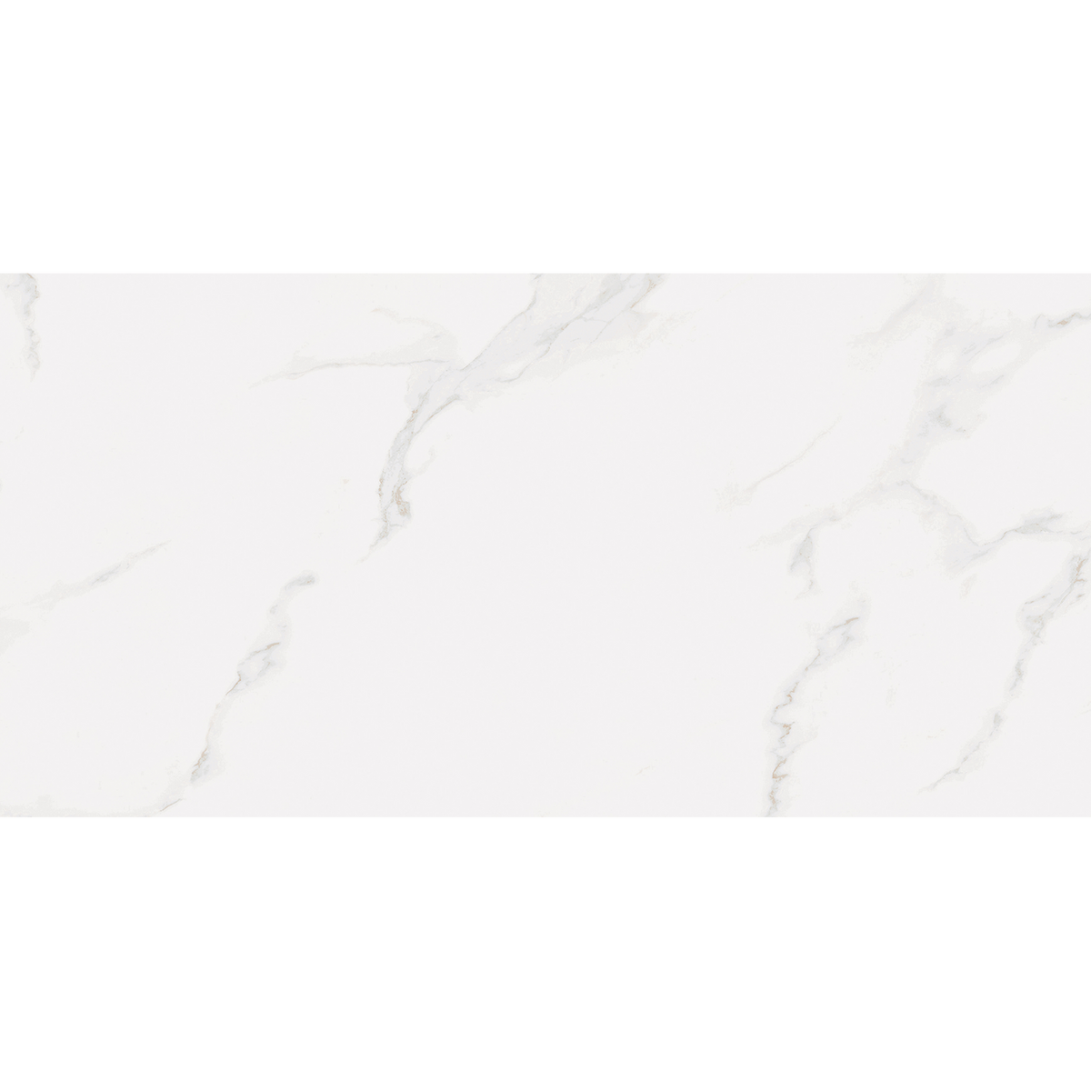 Carrara White Gloss Tile