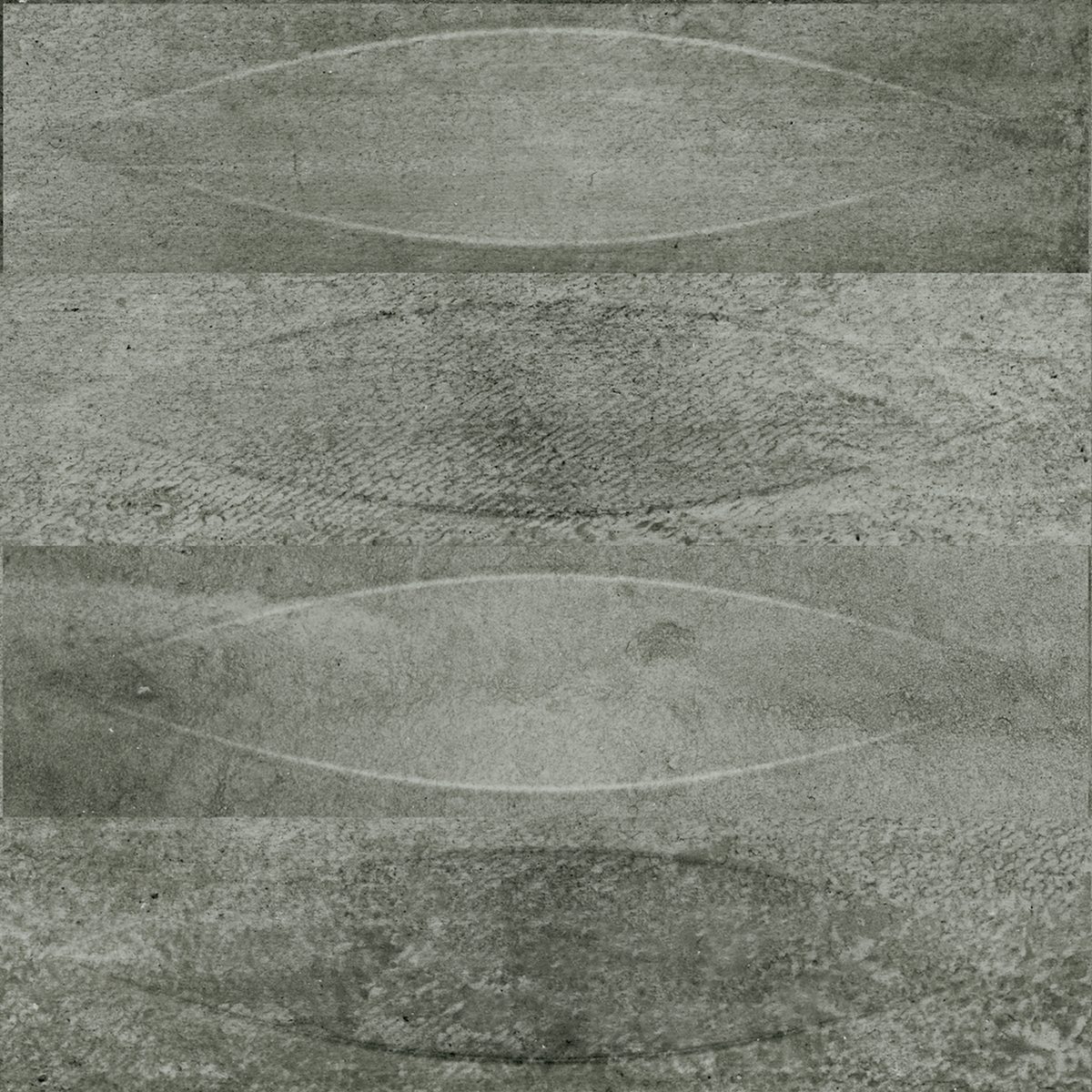 Shield Iron Embossed Matt Tile