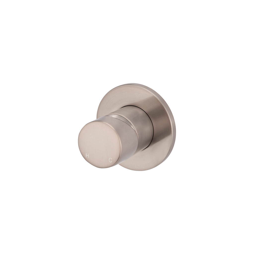 Wall/Shower Mixer Pinless Handle Trim Kit Champagne